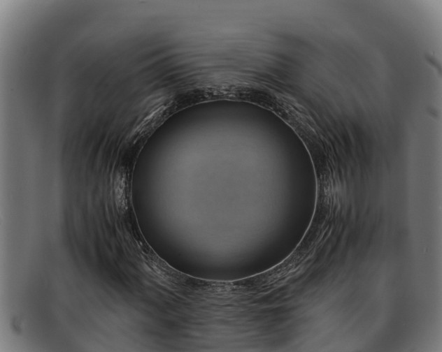 X0000091861060200709121325