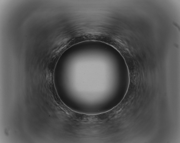 X0000091861061200709121325