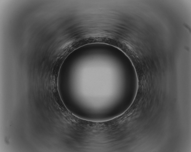 X0000091861062200709121325