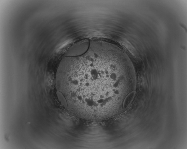 X0000091861063200709121325