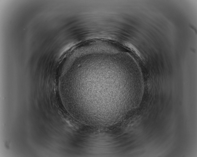 X0000091861064200709121325