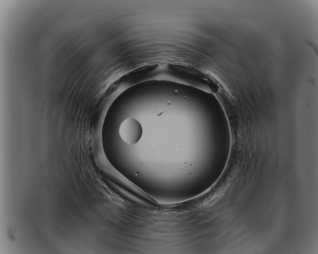 X0000091861065200709121325