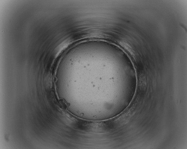 X0000091861067200709121325