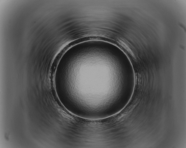 X0000091861068200709121325