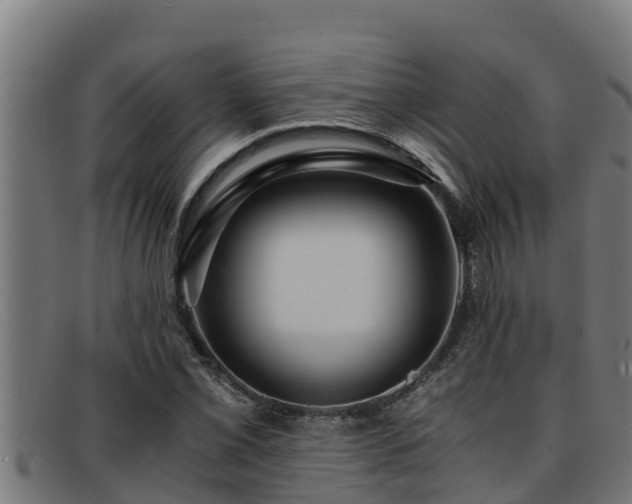 X0000091861069200709121325