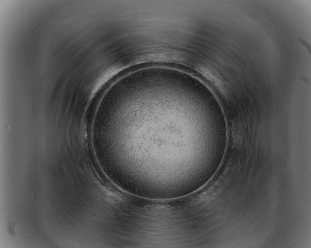 X0000091861070200709121325