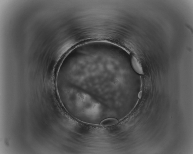 X0000091861071200709121325