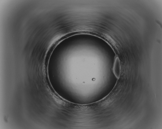 X0000091861072200709121325