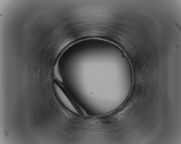 X0000091861073200709121325