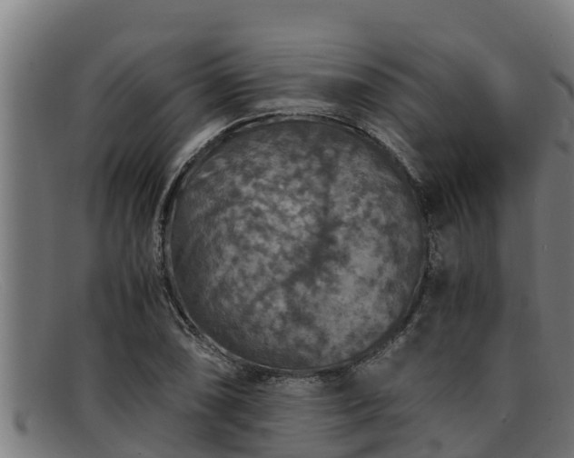 X0000091861074200709121325