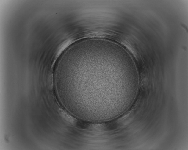 X0000091861075200709121325