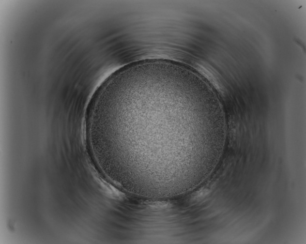 X0000091861076200709121325