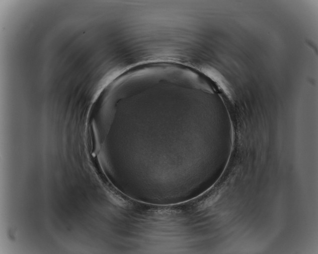 X0000091861077200709121325