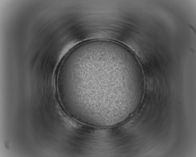 X0000091861078200709121325