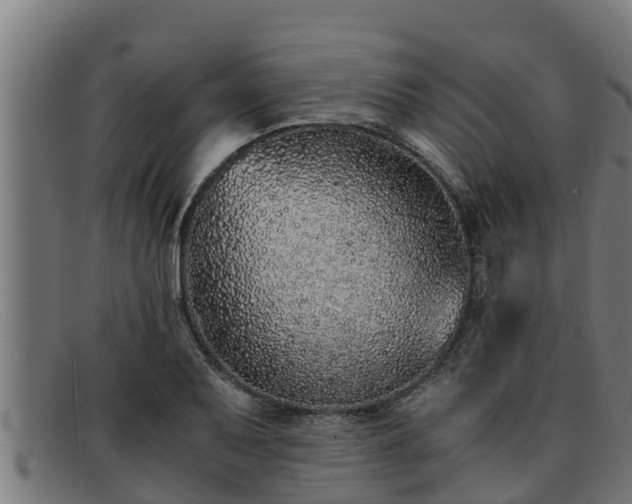 X0000091861079200709121325