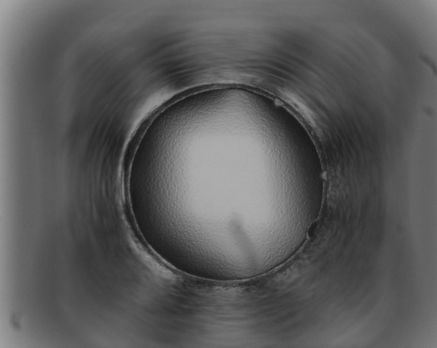 X0000091861080200709121325