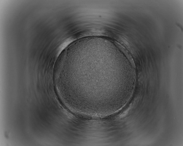 X0000091861081200709121325