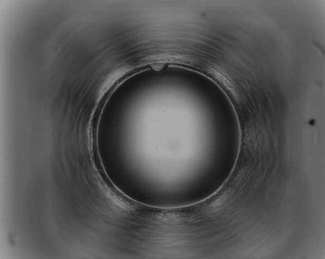 X0000091861082200709121325