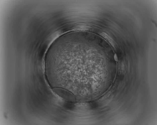 X0000091861083200709121325