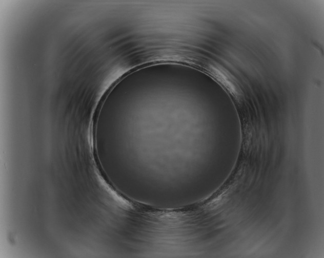 X0000091861084200709121325