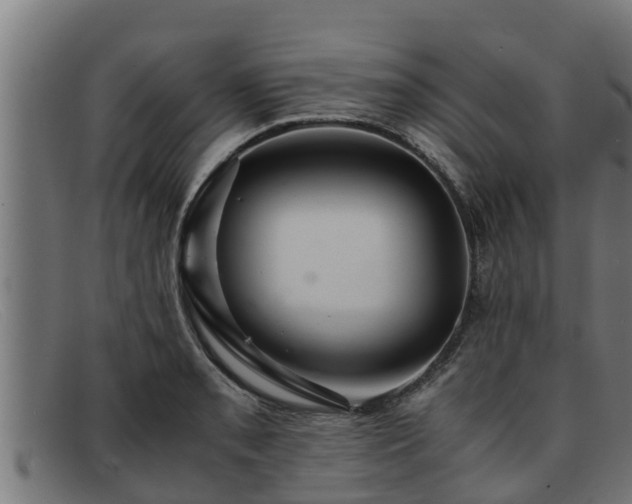 X0000091861085200709121325