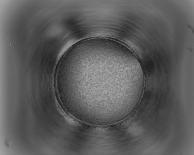 X0000091861086200709121325