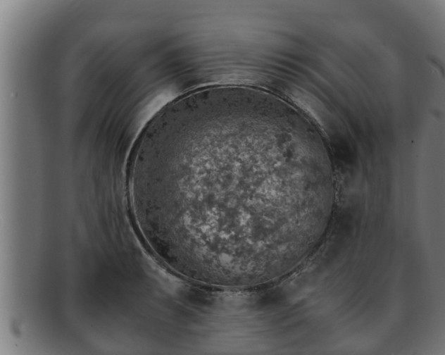 X0000091861087200709121325