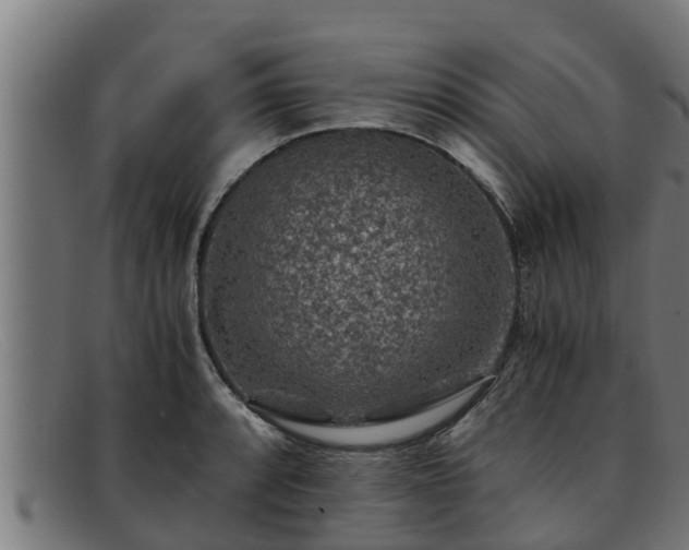 X0000091861088200709121325