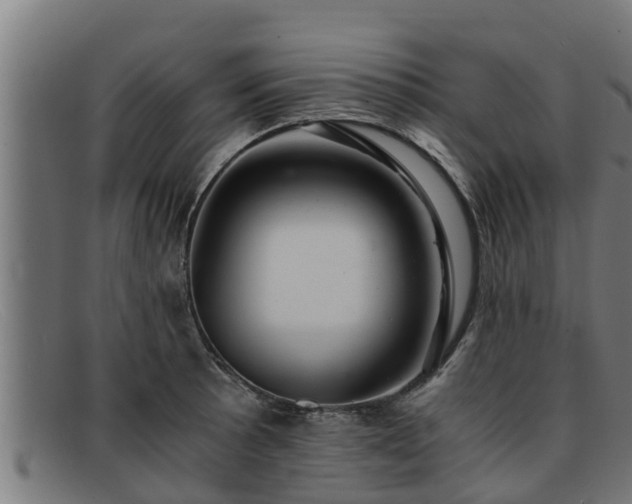 X0000091861089200709121325