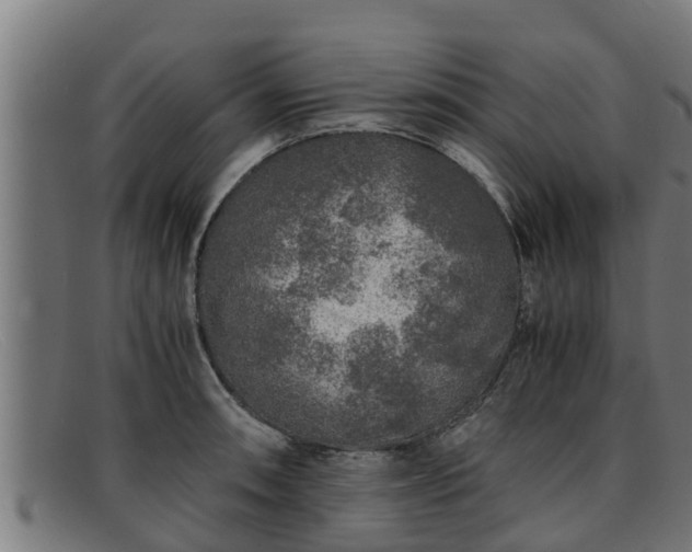 X0000091861090200709121325