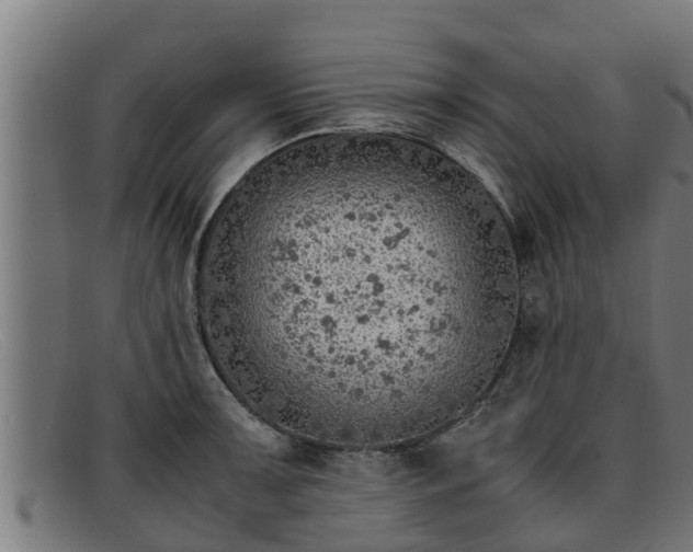 X0000091861091200709121325