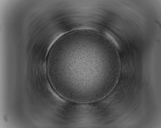 X0000091861092200709121325