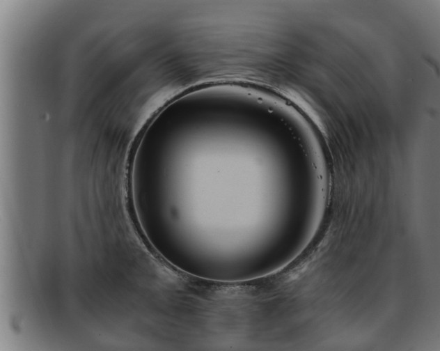 X0000091861093200709121325