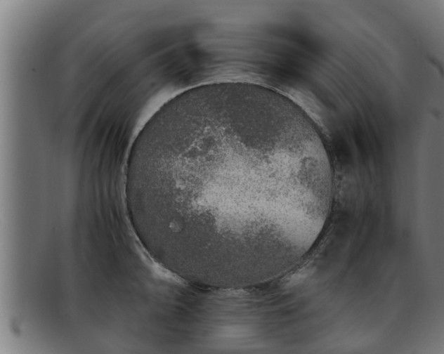 X0000091861094200709121325