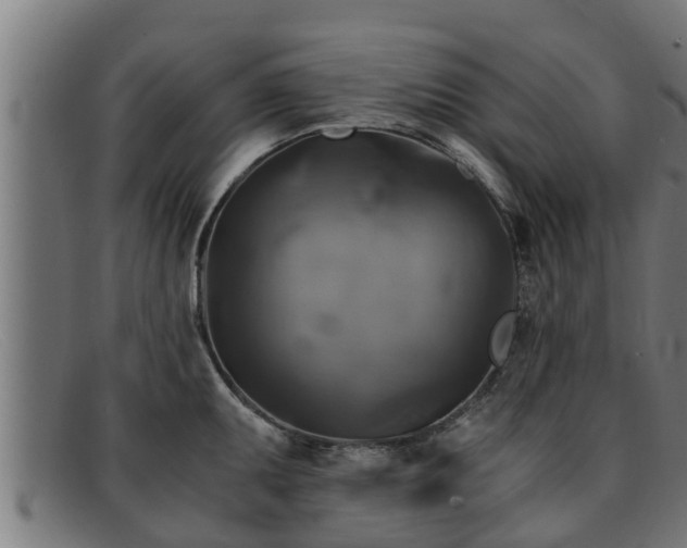 X0000091861095200709121325