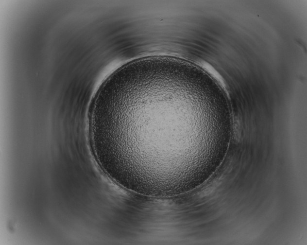 X0000091861096200709121325