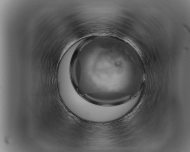 X0000091861097200709121325