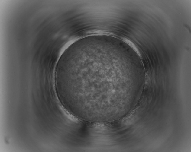 X0000091861098200709121325