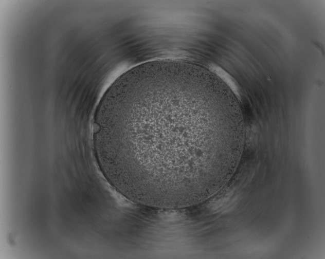 X0000091861099200709121325