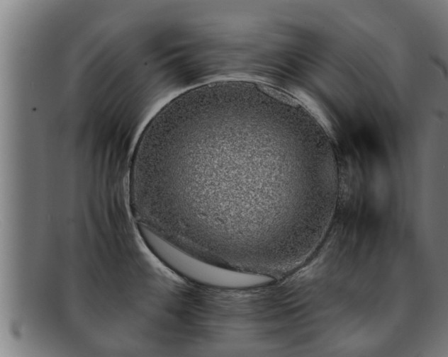 X0000091861100200709121325