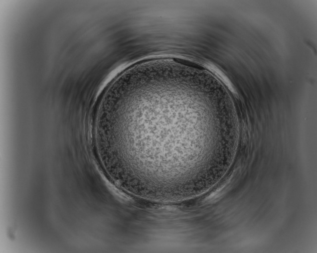 X0000091861101200709121325