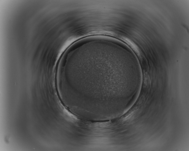 X0000091861102200709121325