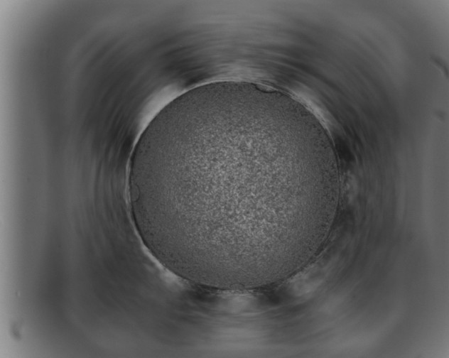 X0000091861103200709121325