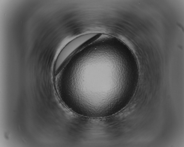 X0000091861104200709121325