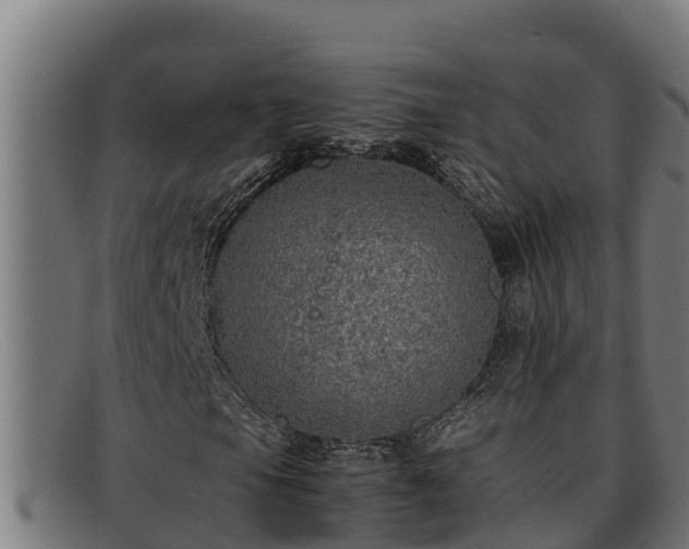 X0000091861105200709121324