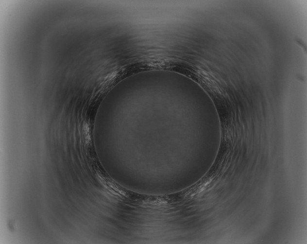 X0000091861106200709121324