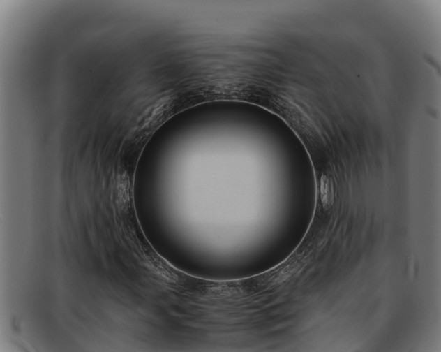 X0000091861107200709121324