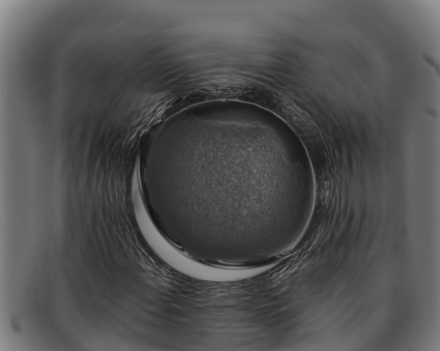 X0000091861108200709121324