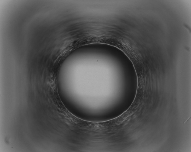 X0000091861109200709121324