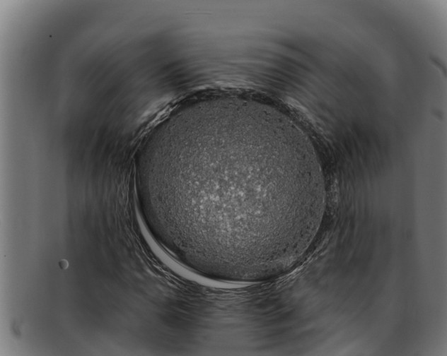 X0000091861110200709121324